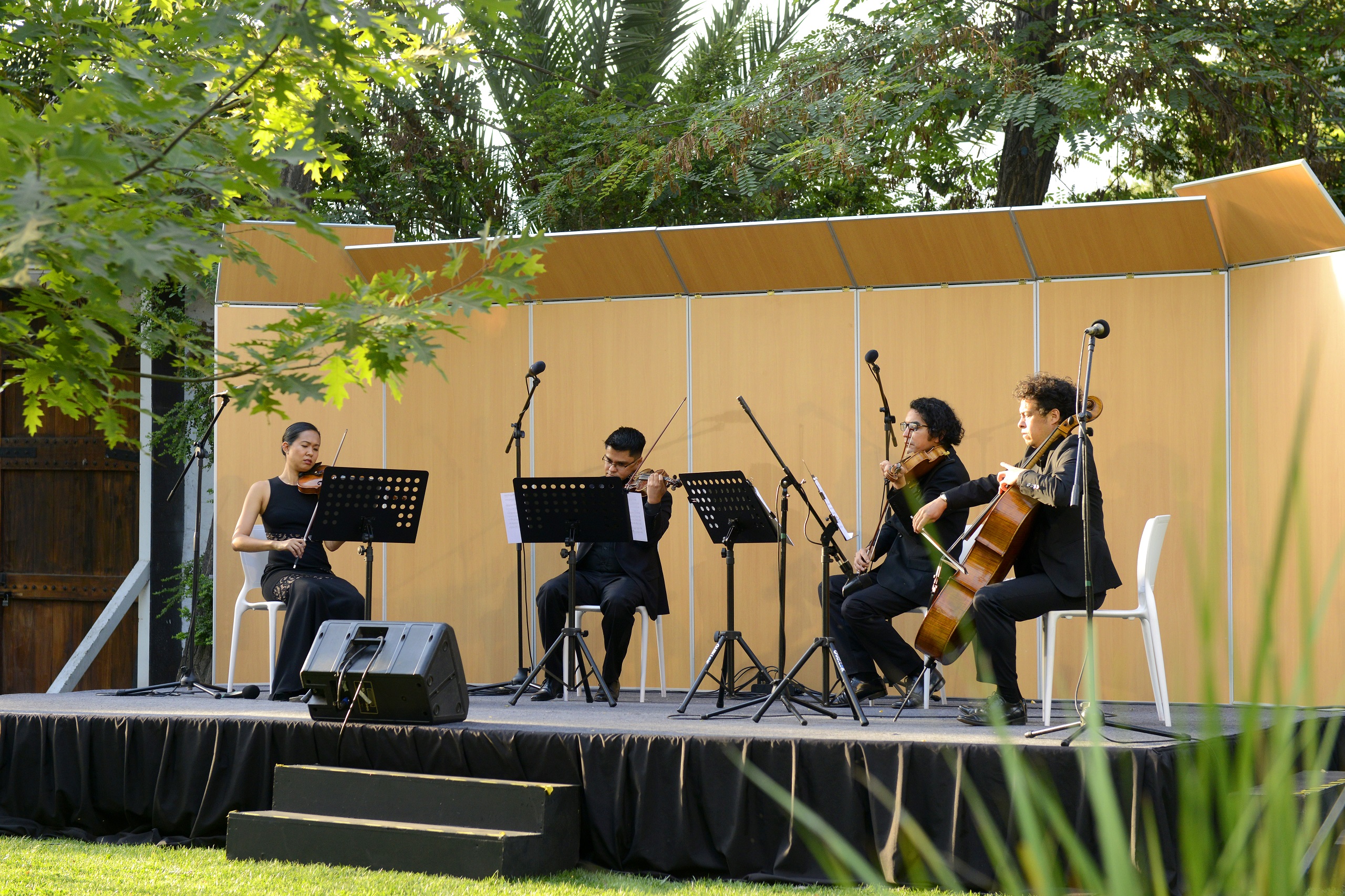 Cuarteto de cuerdas Novo brindó un concierto inolvidable en Lo Matta Cultural